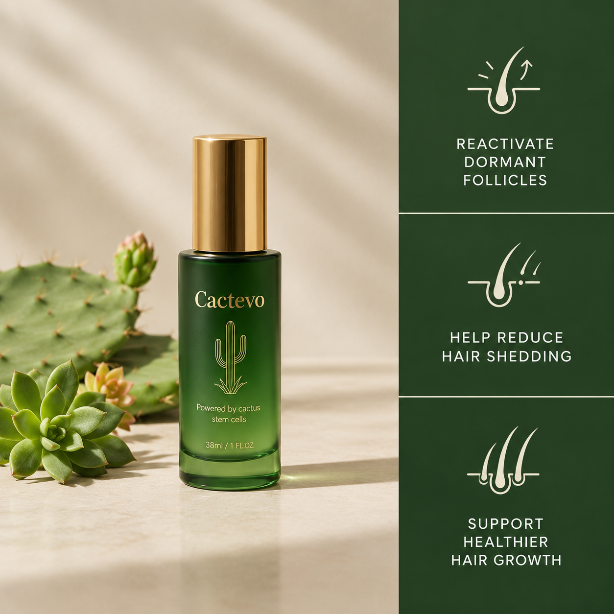 Cactevo Hair Growth Serum